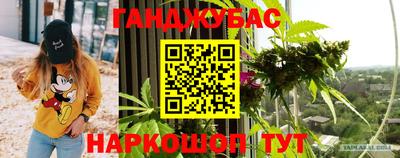 дмт Камышлов