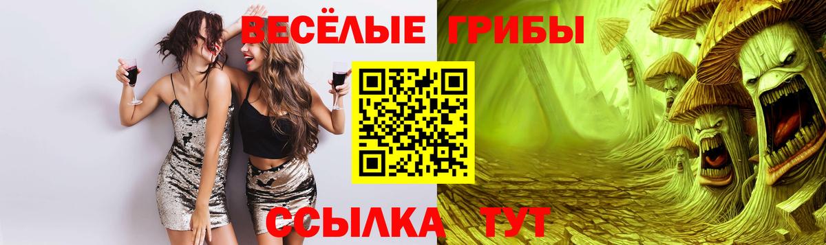 Псилоцибиновые грибы прущие грибы Азов